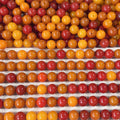 A22-Dusk Bodhi Beads BIG【14mm】