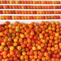A01-Oange Bodhi Beads【9mm】